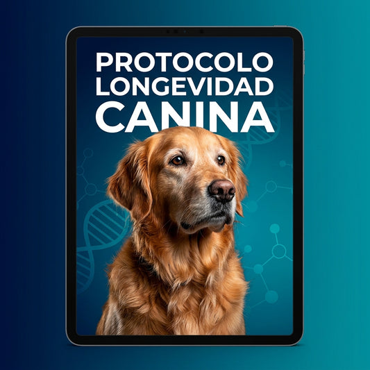 PROTOCOLO LONGEVIDAD CANINA + BONOS